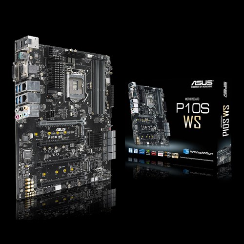 P10S WS