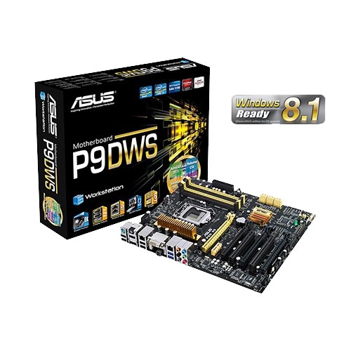 P9D WS