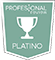 Platinum Platinum